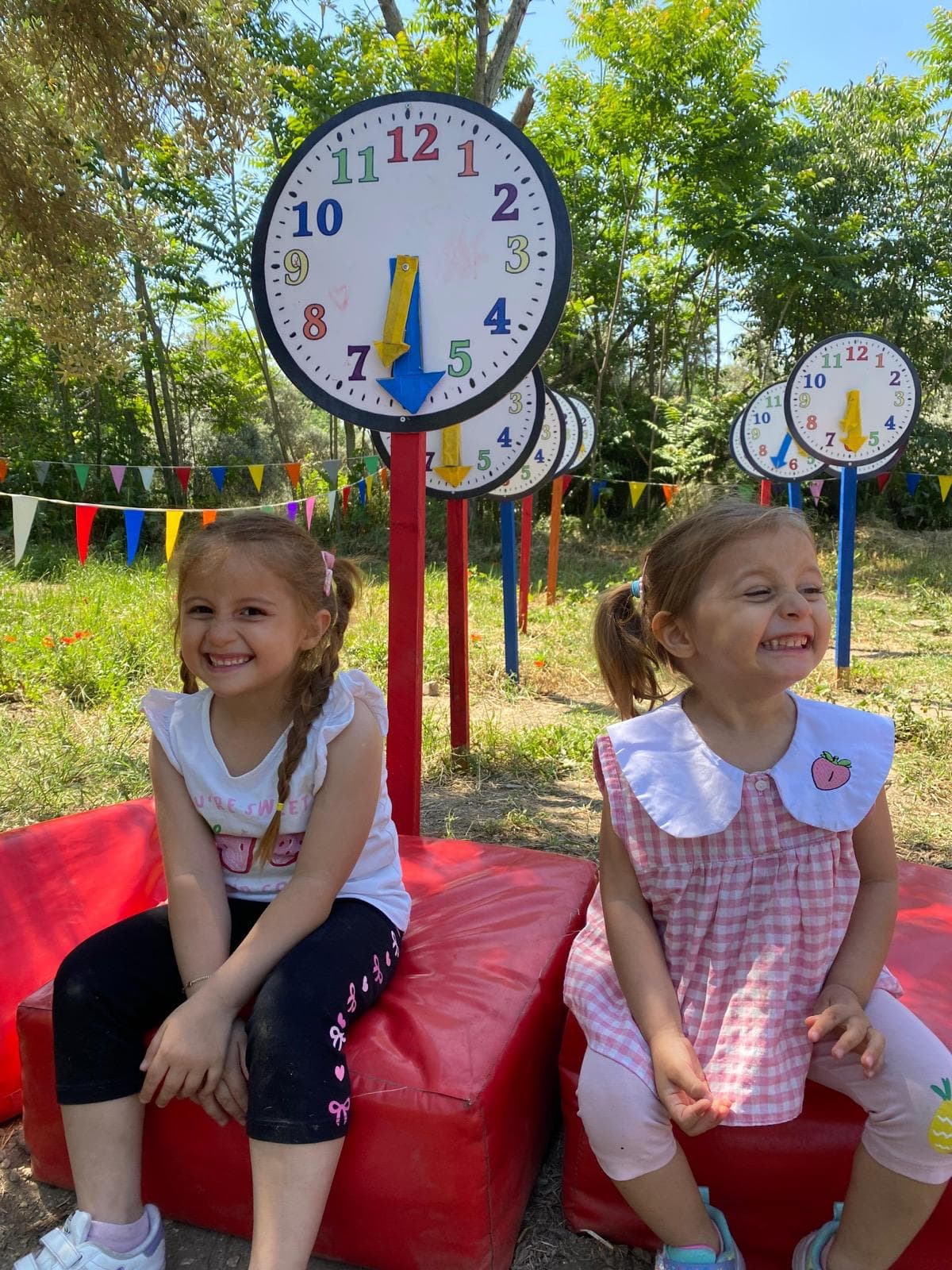 Takım aktivitesi doğada